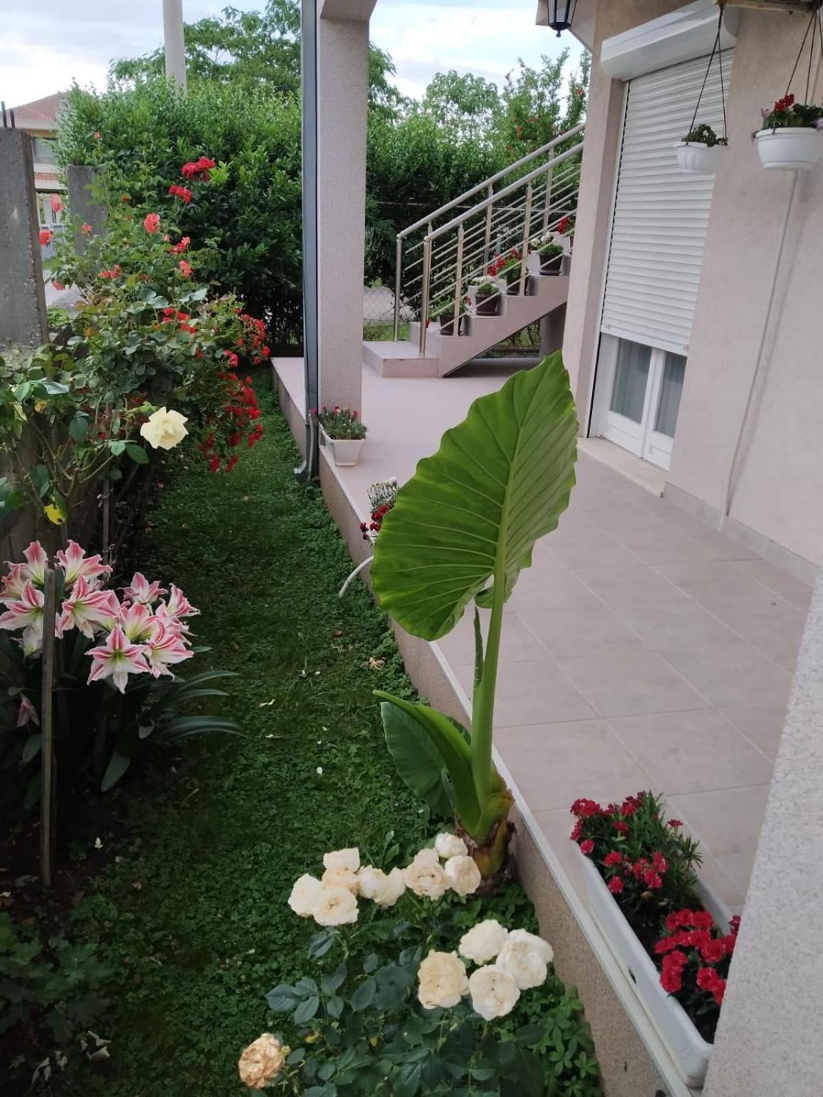 Entire House Floor - 2-Bedroom Cozy & Peaceful Apartment พอดโกริกา ภายนอก รูปภาพ