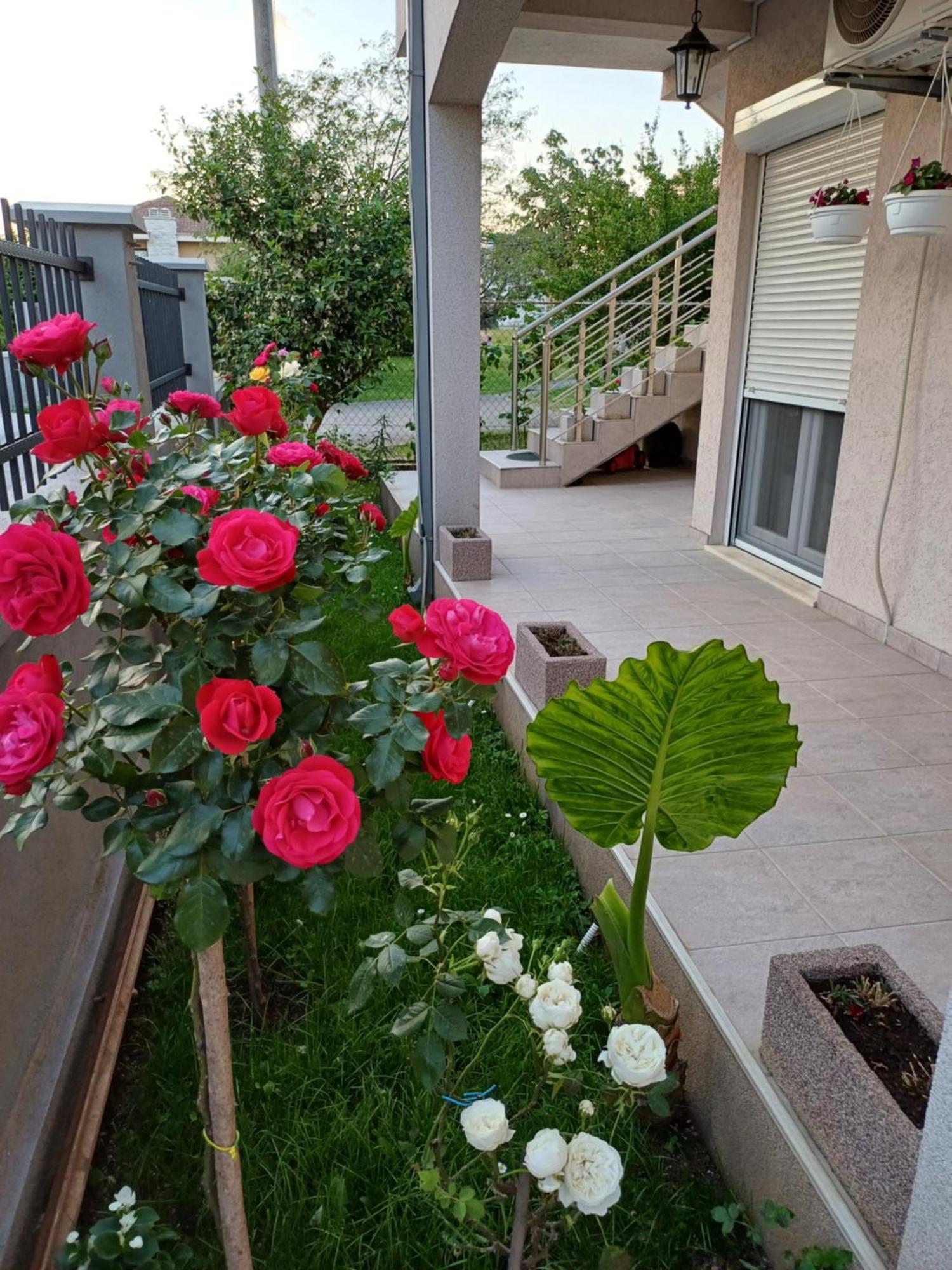 Entire House Floor - 2-Bedroom Cozy & Peaceful Apartment พอดโกริกา ภายนอก รูปภาพ